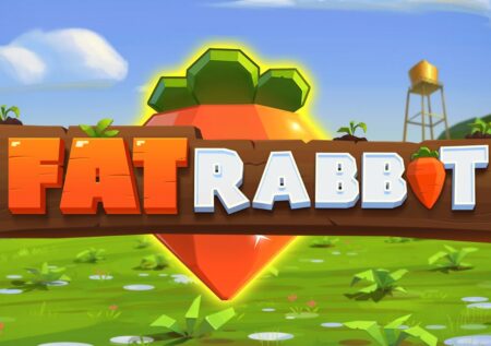 Fat Rabbit