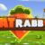 Fat Rabbit